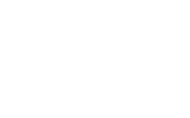 nx logo